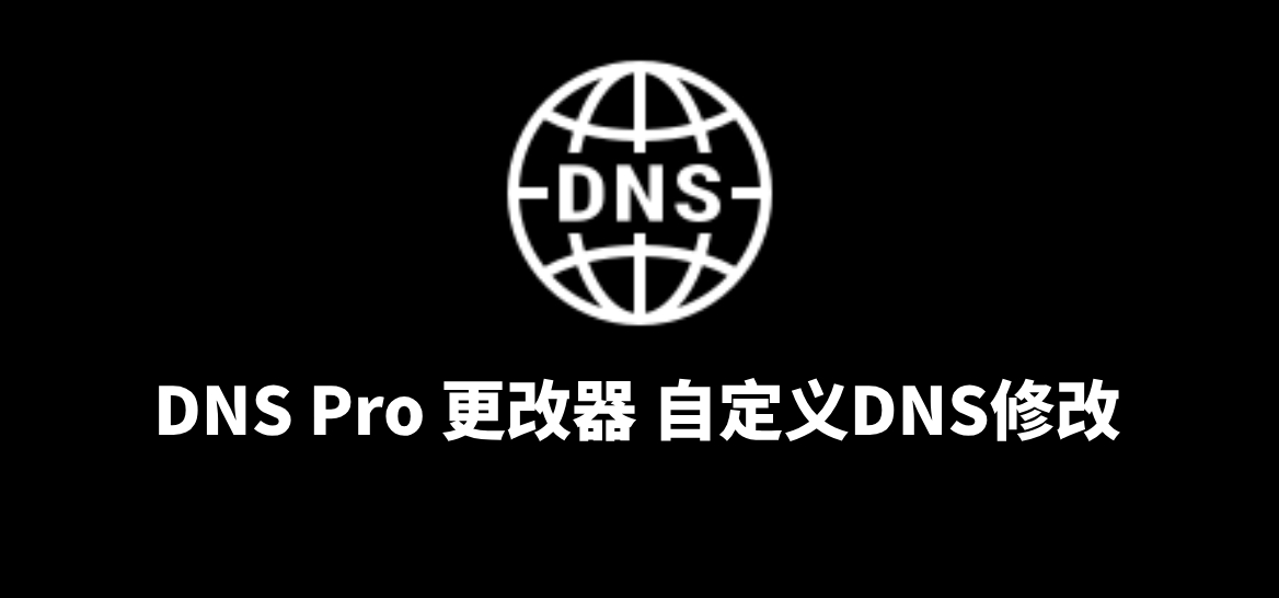DNS Pro 更改器 自定义DNS修改